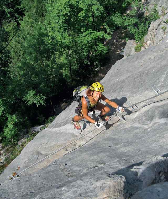 Zahme Gams
