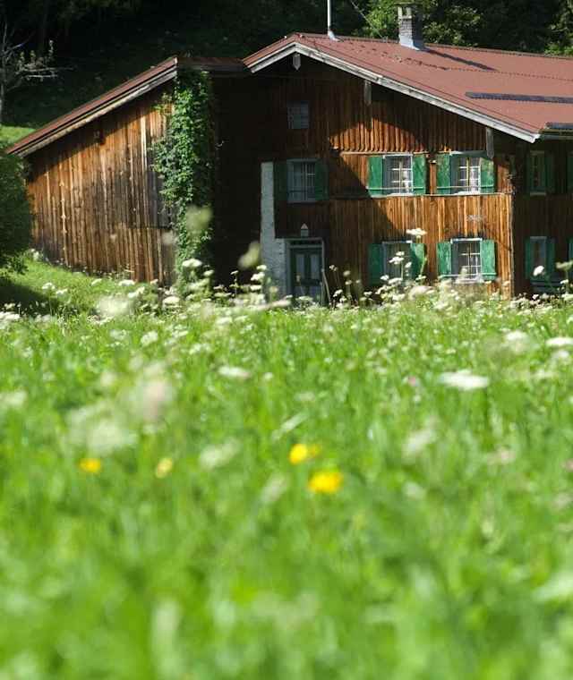 Klimm im Tiroler Lechtal