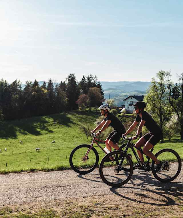Radfahren im frühlingshaften Lavanttal