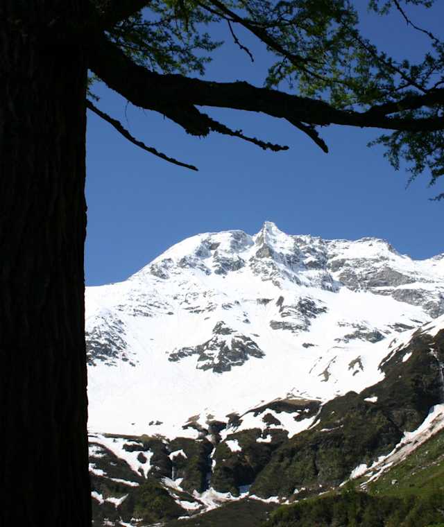 Aussicht auf den Sonnblick