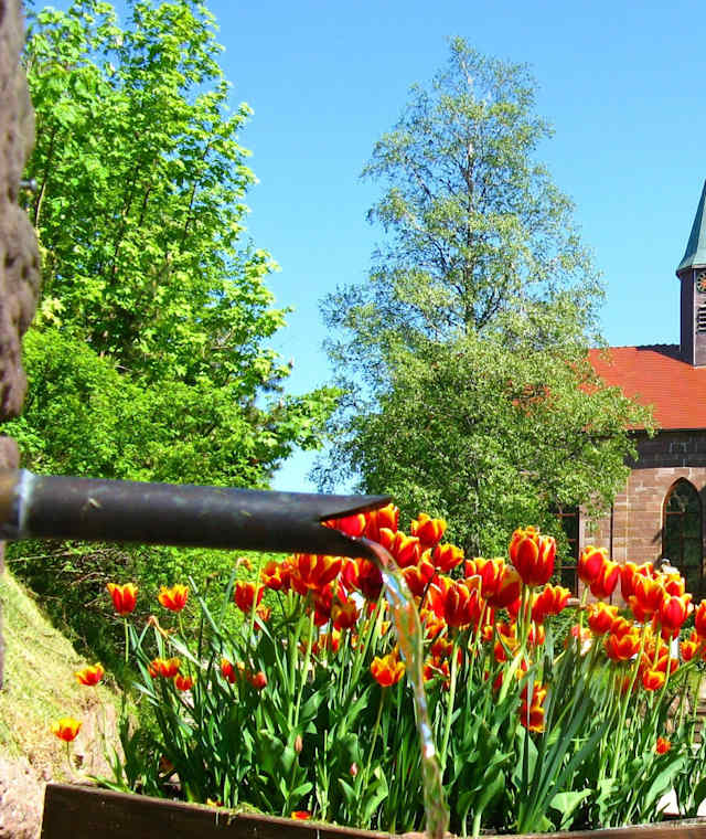 Kniebiser Heimatpfad