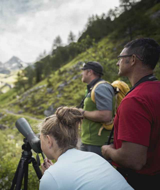 Wildtierbeobachtung im Kötnitztal im Nationalpark Hohe Tauern Osttirol