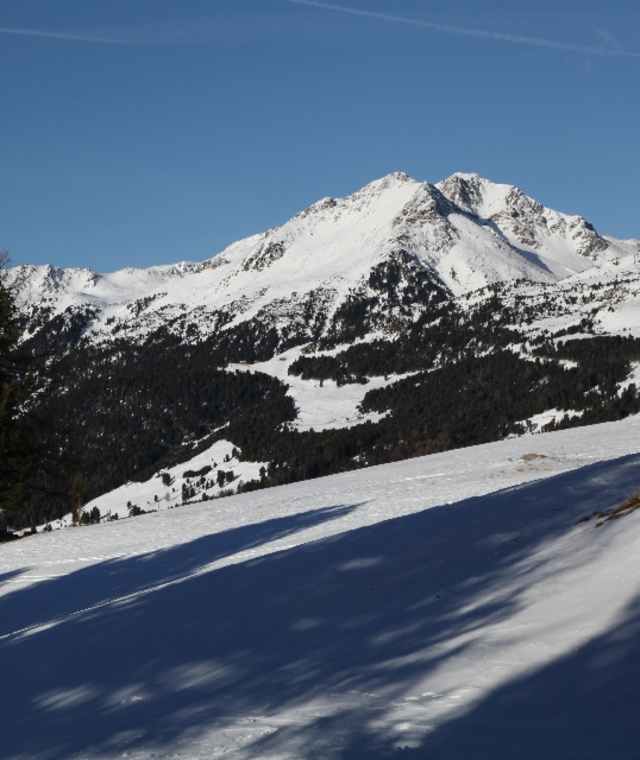 Waldrand