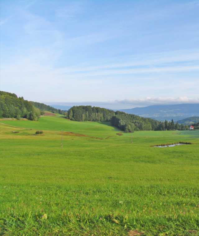 Kohlstattrunde