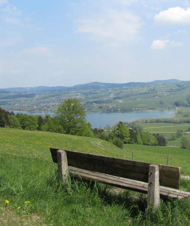 Kolomansberg Rundweg
