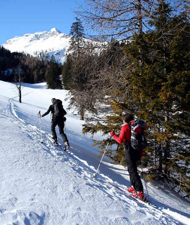 Kräuterin-Ost: Lichtung nach der Nappenbachklause Richtung Kräuterinhütte, im Hintergrund der Fadenkamp