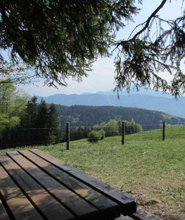 Kramer Herrgott Runde