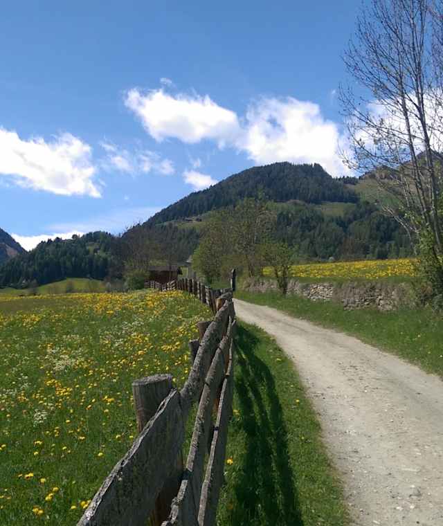 Auf dem Kreuzweg Virgen
