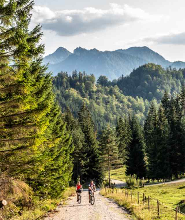 Krumpenalm