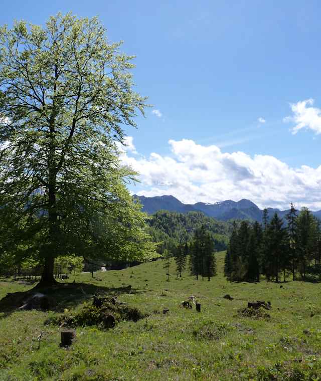 Krumpenrunde 