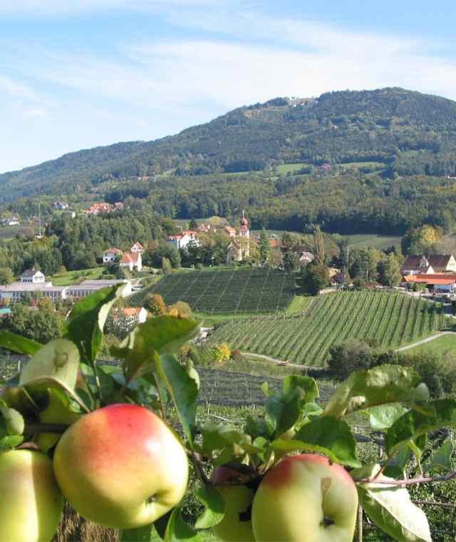 Blick über die Oststeiermark