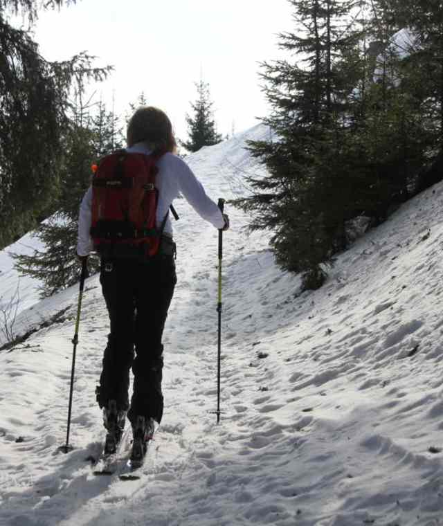 Aufstieg durch den Wald.....