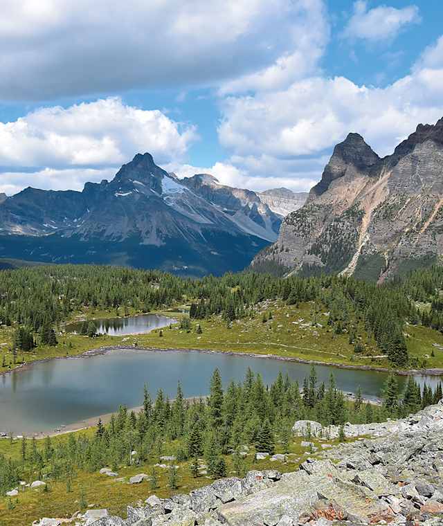 Viele Seen kennzeichnen das offene Tal um den Lake O’Hara im Yoho Nationalpark.