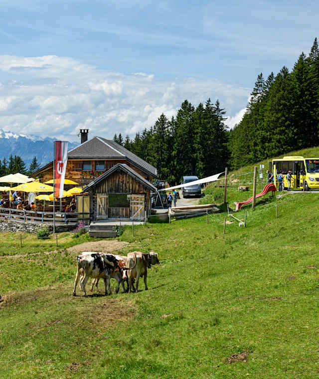 Schnifis