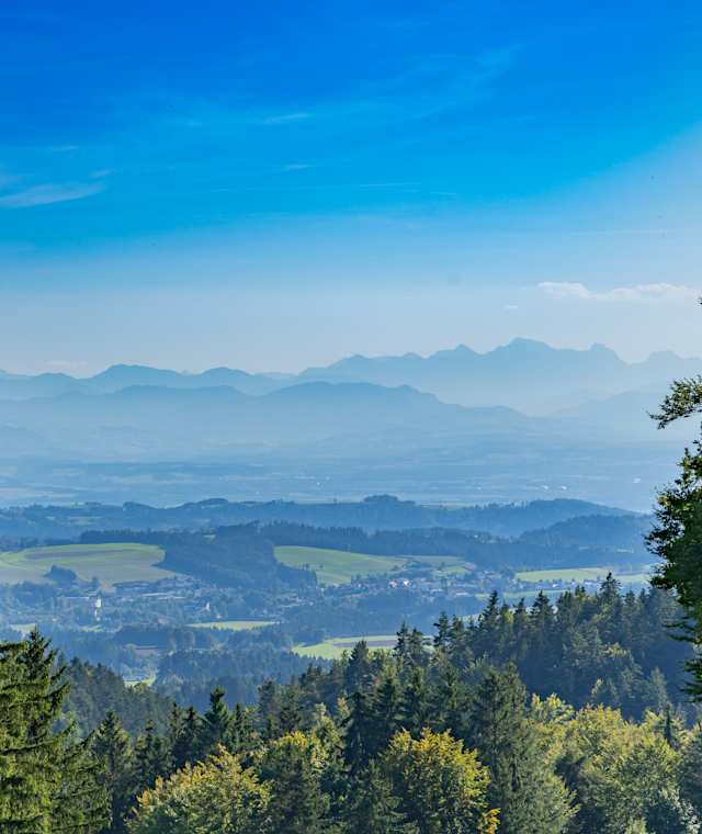 Weitblick