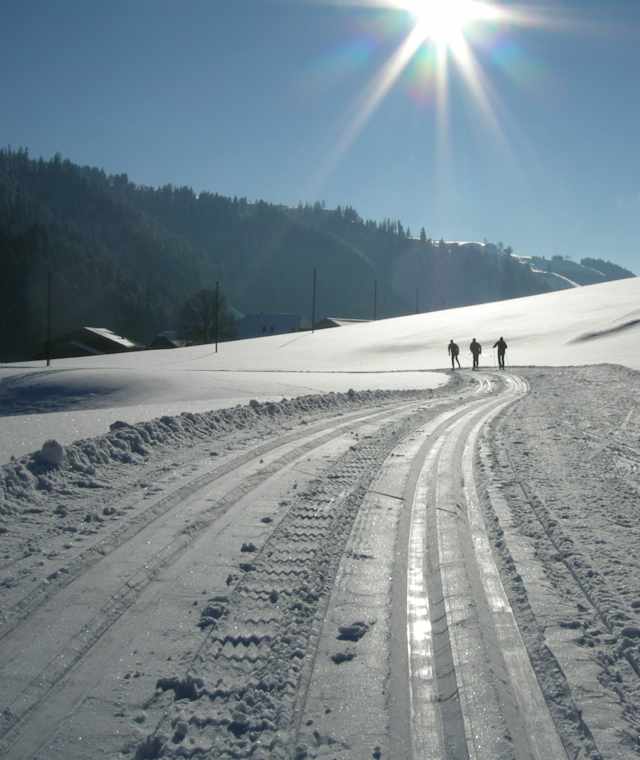 Auf der Loipe zwischen Langnau und Trubschachen