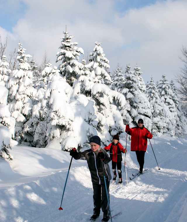 Auf der schneesicheren Schwartenbergloipe