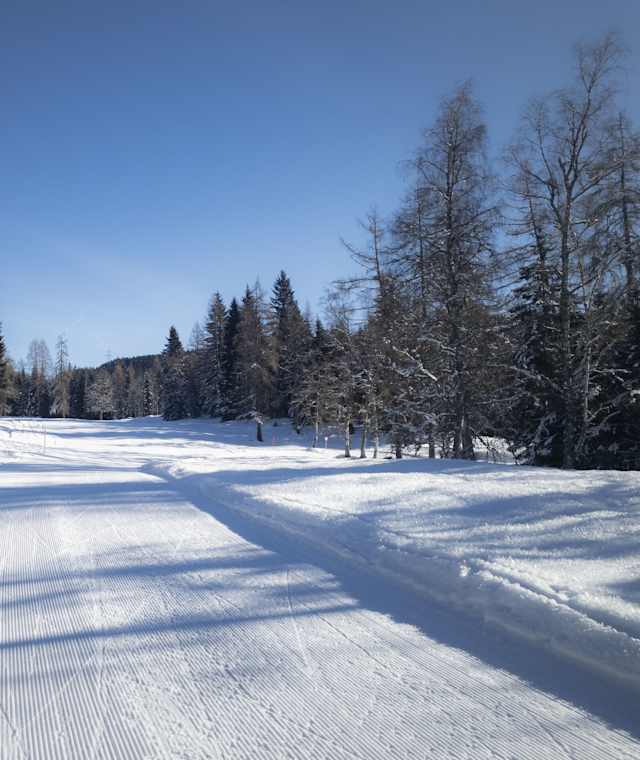 Langlauflopie C6 Buchen