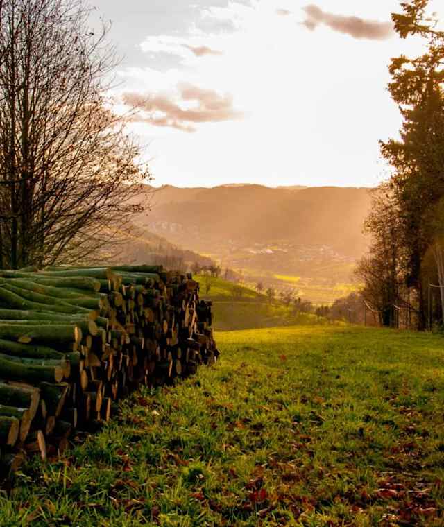Lautenbacher Hexensteig