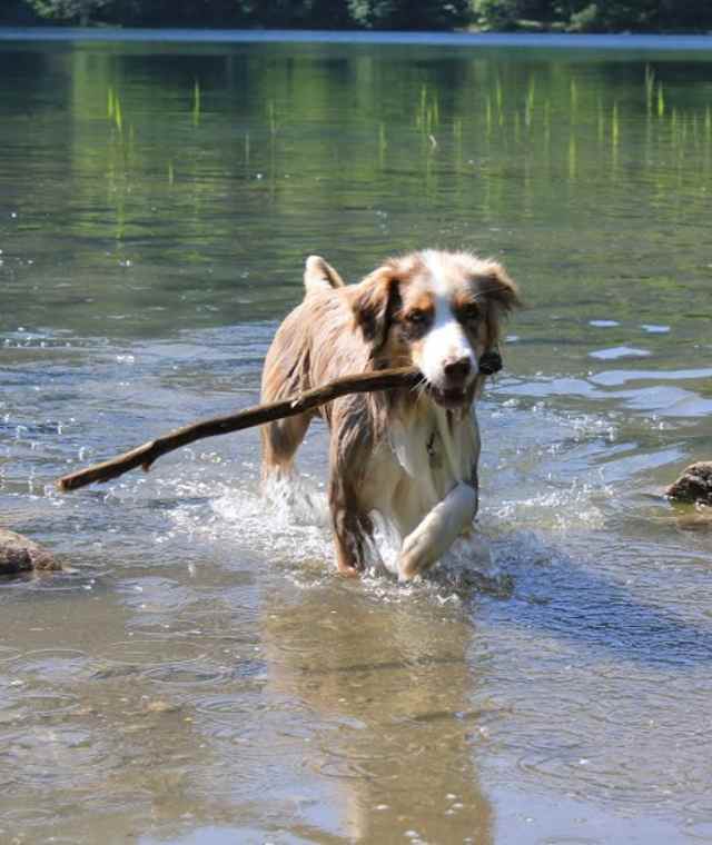 Am Laudachsee