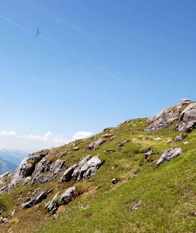 Traumhafter Blick vom Lauskopf