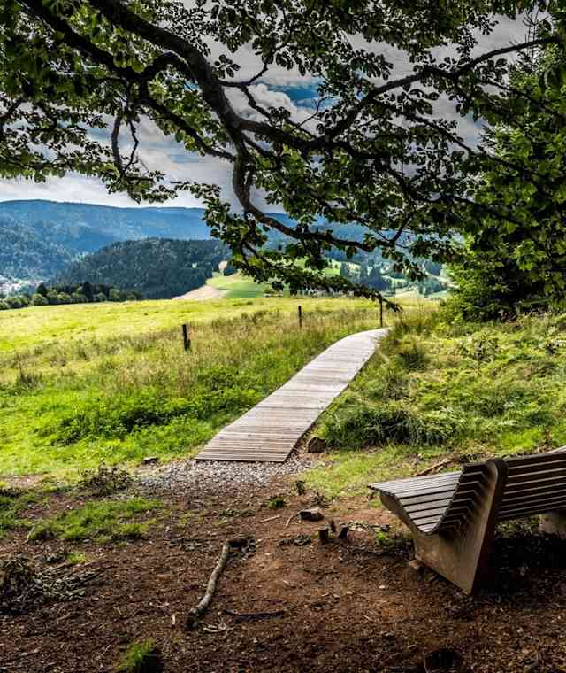 Die Himmelsliegen mit Aussicht über den Hochschwarzwald