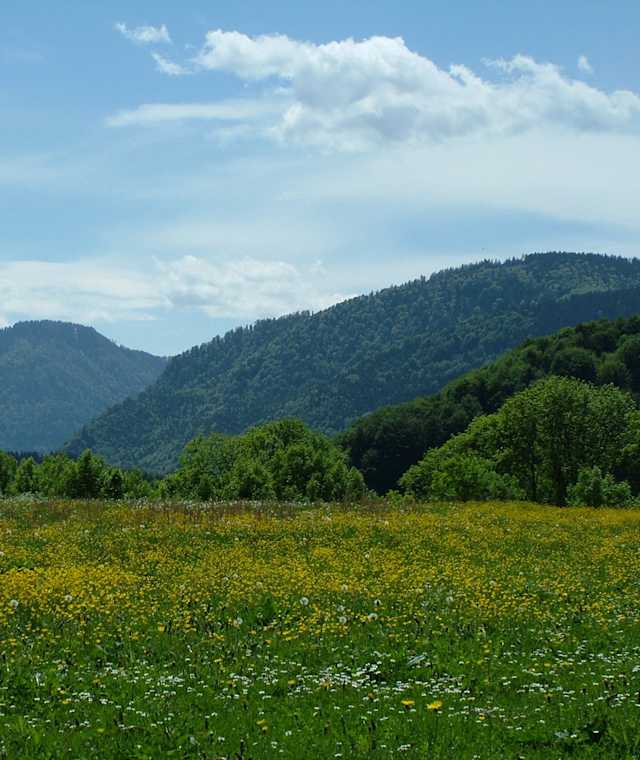 Sommer in Siegsdorf
