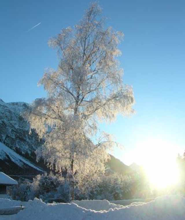 Winterlandschaft im Lechtal