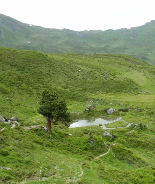 Wanderung zur Leidalm