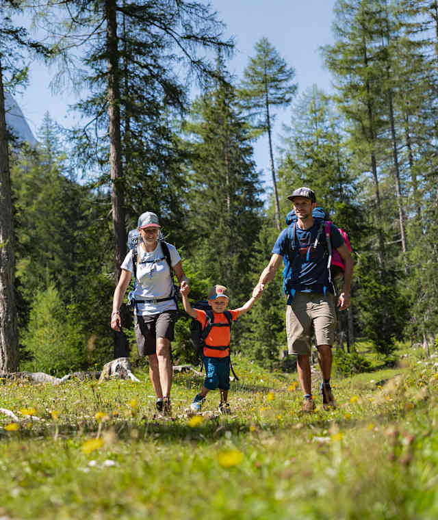 Familienwanderung im Gaistal: Familie läuft auf Wiese durch den Wald