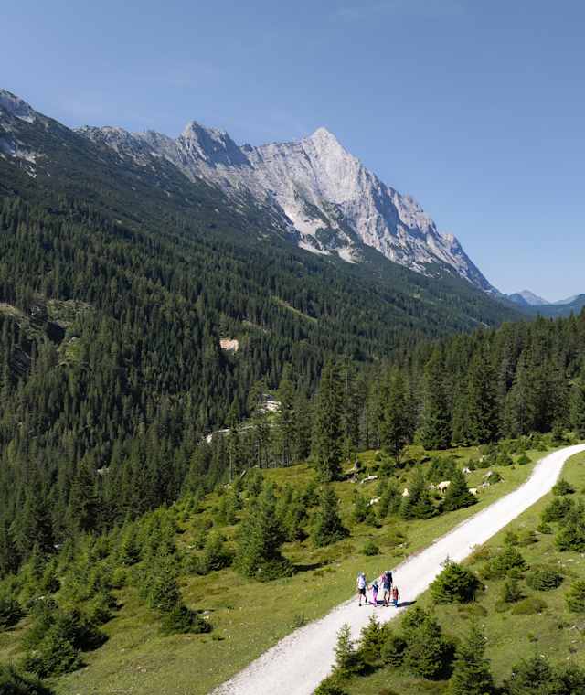 Familienwanderung im Gaistal: Familie läuft auf breitem Wanderweg