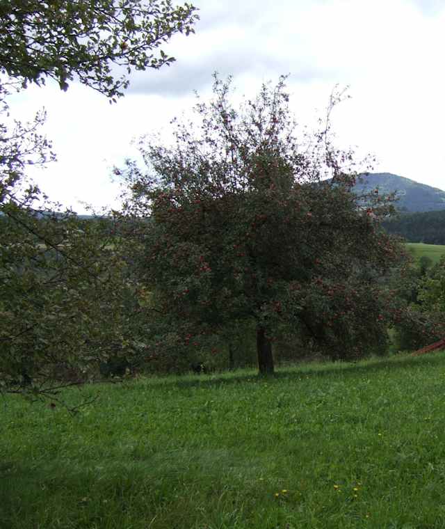 Lex-Michlhof-Runde