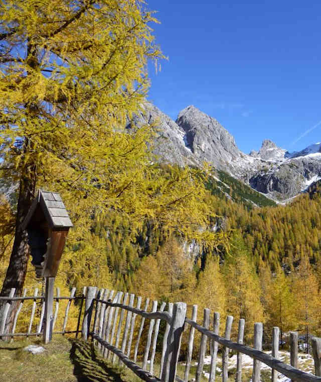 Bei der Kerschbaumer Alm 