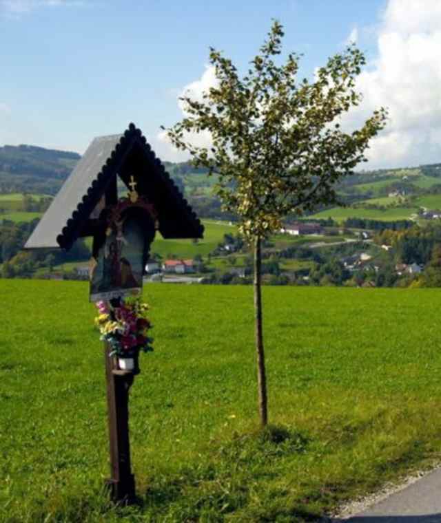 Linden - und Hallerwaldweg 