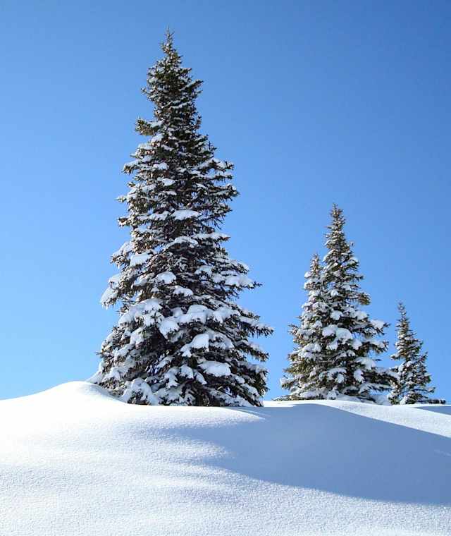 Nordic-Ski am Hochkönig ist eine Wohltat für die Sinne