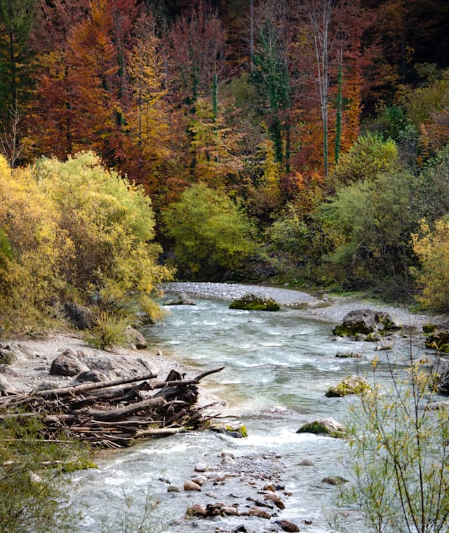 Loisach im Herbst