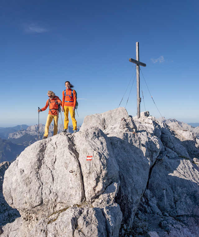 Am Gipfel des Birnhorn