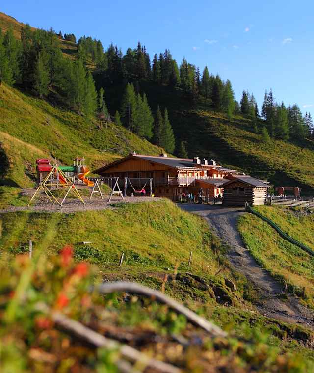 Loosbühelalm