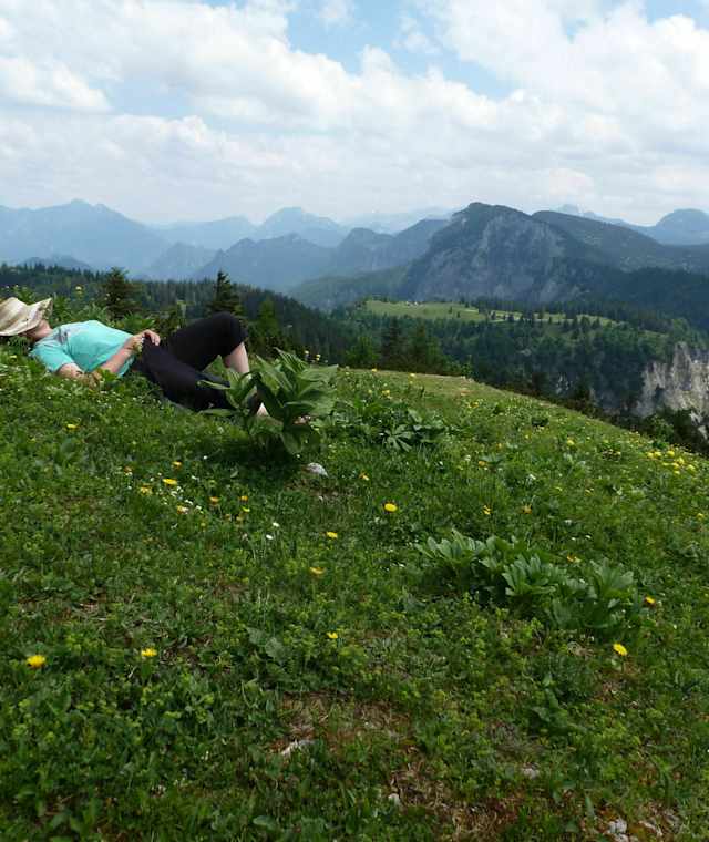 Auf den Buchberg