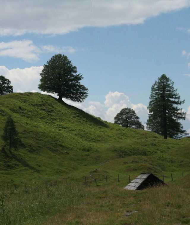 Waisacher Alm