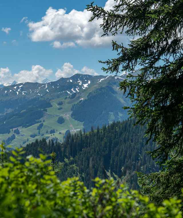 Ausblick vom Maisereck ins Glemmtal