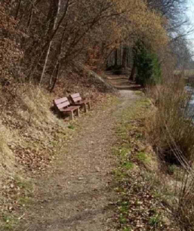 Weg am Forstgraben