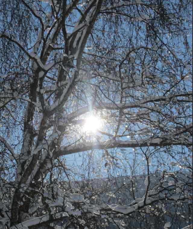 Winterliche Impressionen
