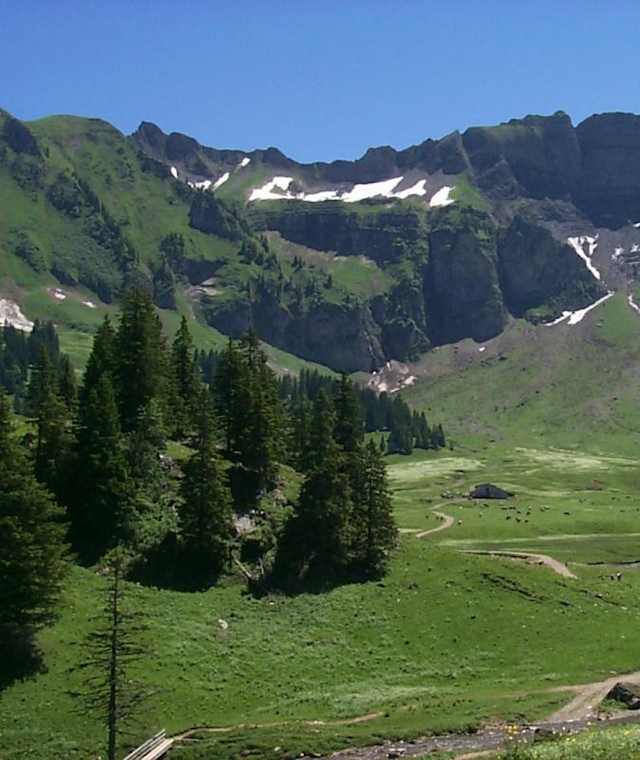 Alpe Kanis 