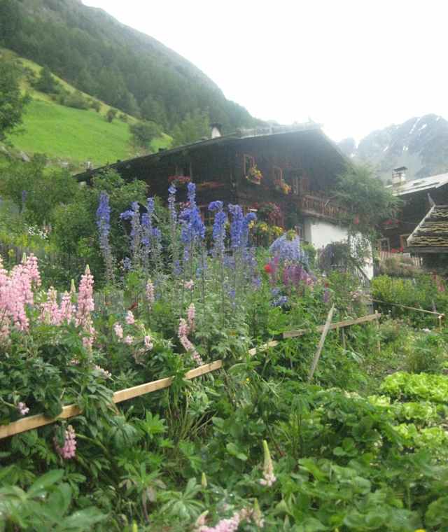 Mitterkaser-Alm im Pfossental