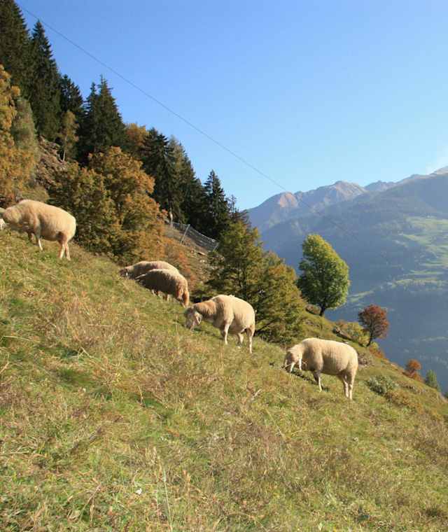 Rückblick