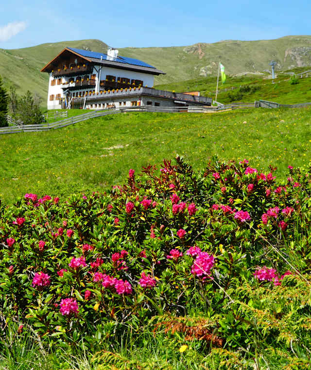 Die Meraner Hütte oberhalb von Meran