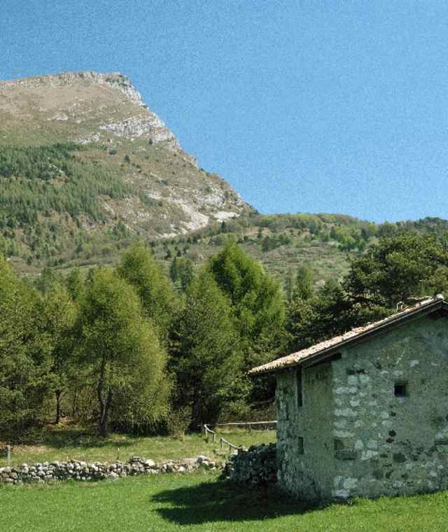 S. Barbara
