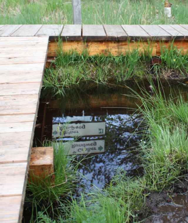Moorlehrpfad – Kleiner Rundweg