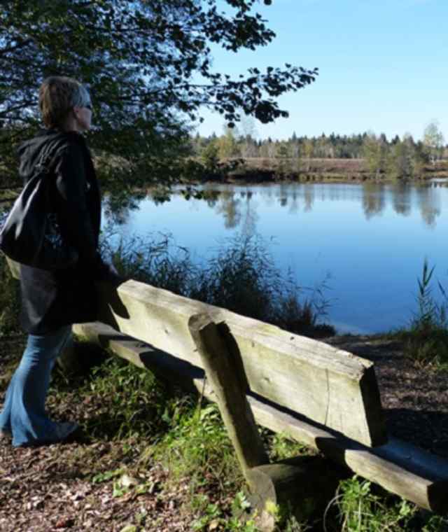 Blick auf den See